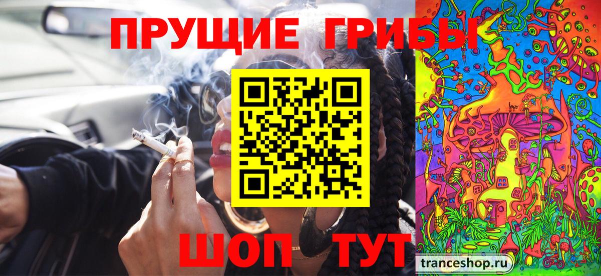 Псилоцибиновые грибы Psilocybine cubensis Мурманск
